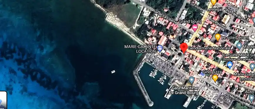 Fourriere à Île De Marie-Galante, Rue du Dr Félix Selbonne, Grand-Bourg 97112, Guadeloupe