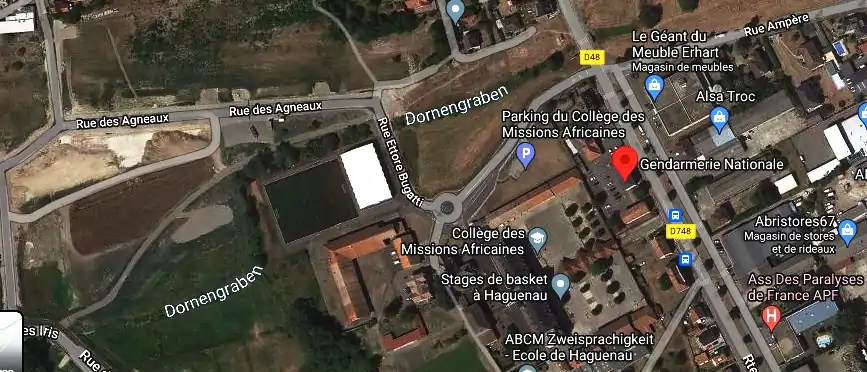 Fourriere à Haguenau