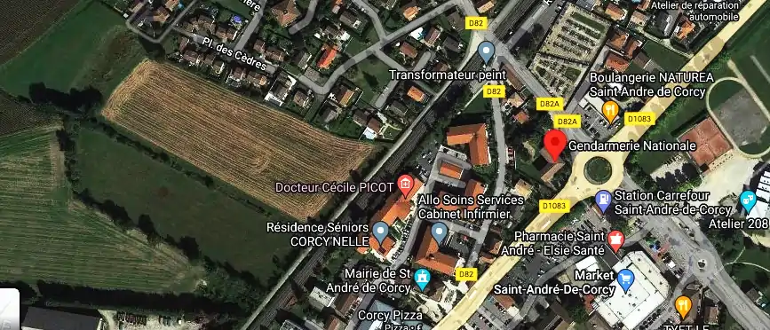Fourriere à Saint-André-de-Corcy