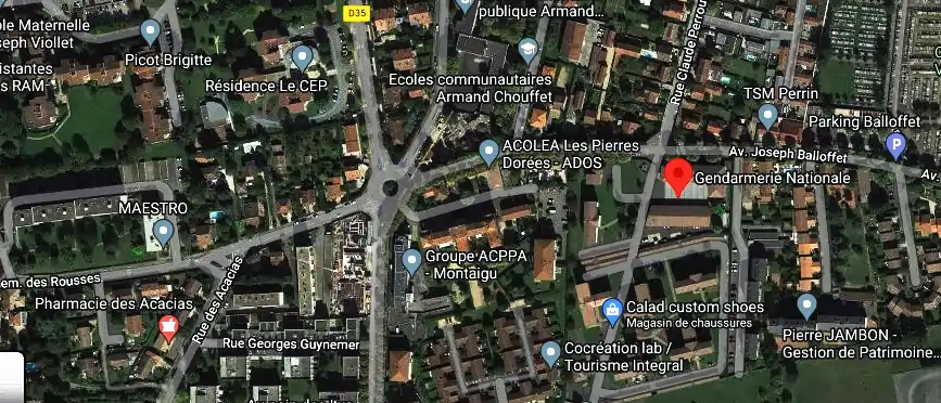 Fourriere à Villefranche-sur-Saône