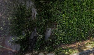 Gendarmerie – Brigade motorisée de Grasse à Grasse